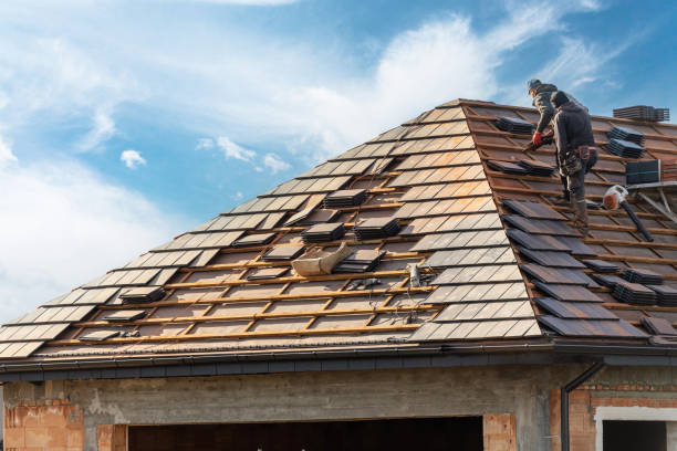 Best Roof Insulation Installation  in Wiggins, MS