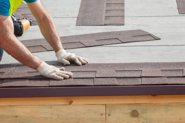 Best Skylight Installation and Repair  in Wiggins, MS